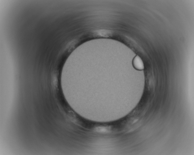 X0000113020595200910081201