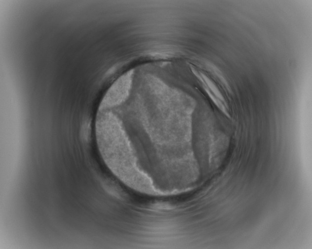 X0000113020596200910081201