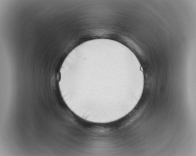 X0000113020597200910081201