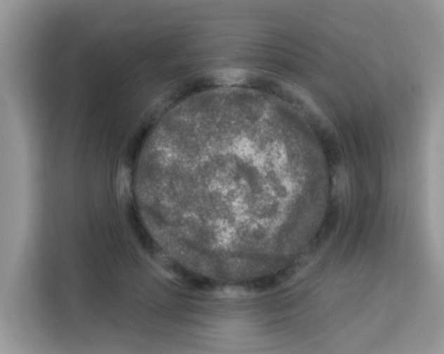 X0000113020598200910081201