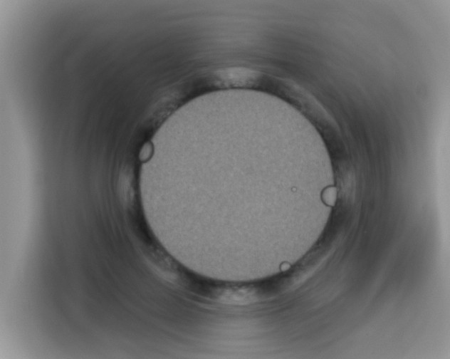 X0000113020599200910081201