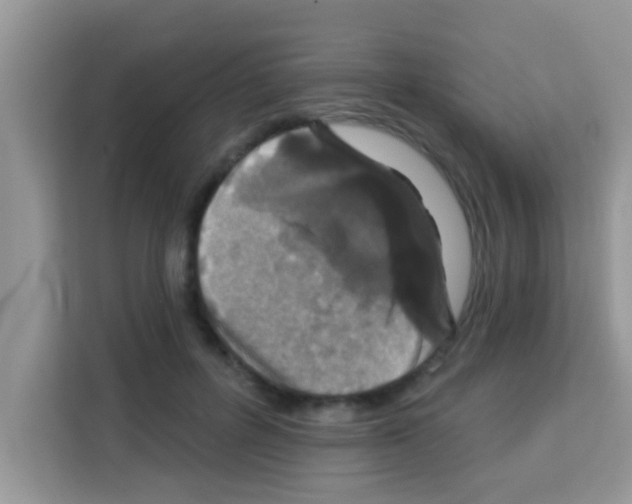 X0000113020600200910081201