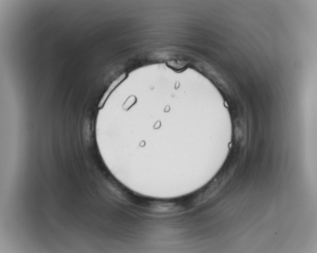 X0000113020605200910081201