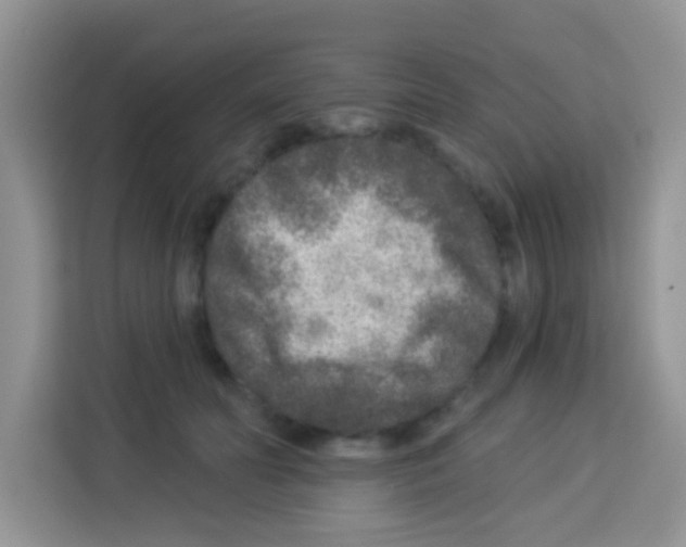 X0000113020606200910081201