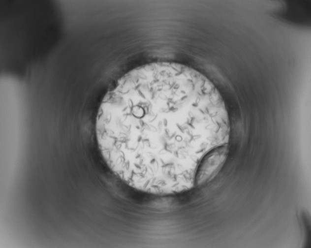 X0000113020609200910081201