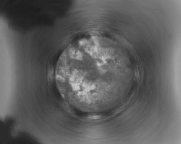 X0000113020610200910081201