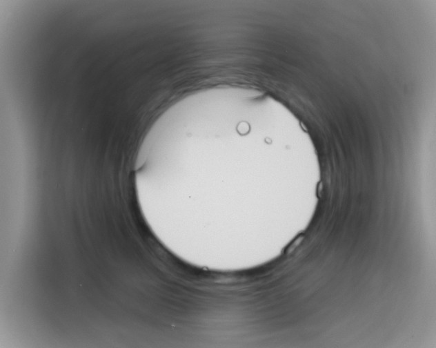 X0000113020611200910081201