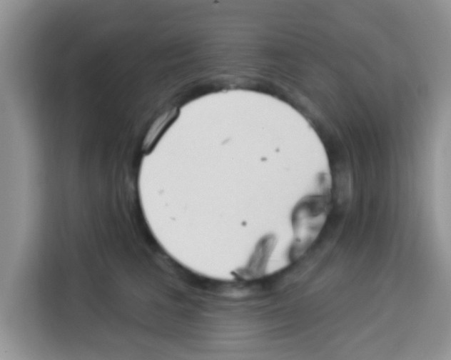 X0000113020613200910081201