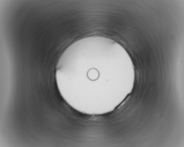 X0000113020617200910081201