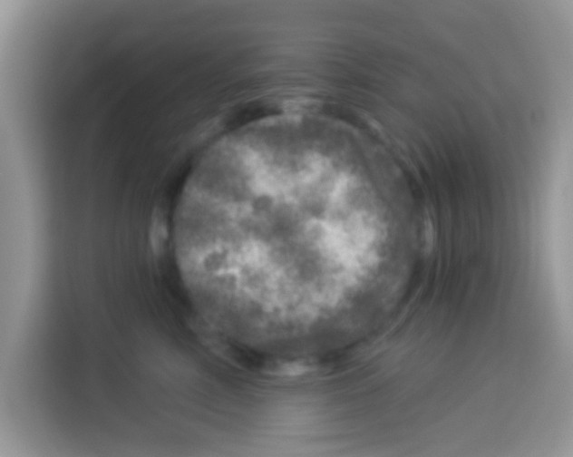 X0000113020618200910081201