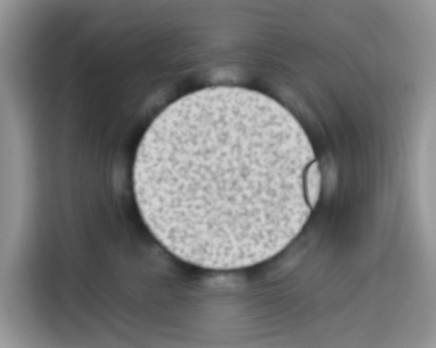 X0000113020619200910081201