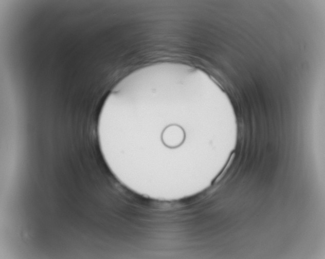 X0000113020621200910081201