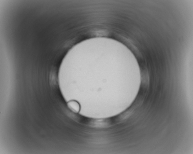 X0000113020622200910081201