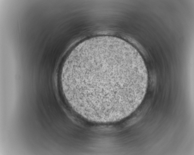 X0000113020626200910081200