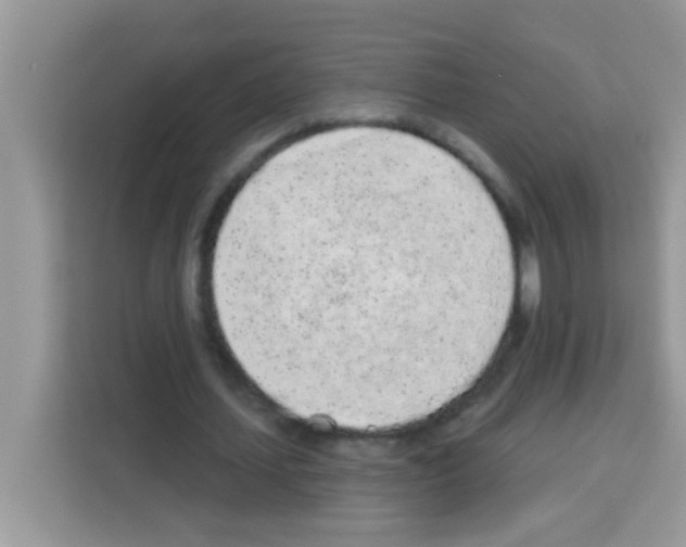 X0000113020627200910081200