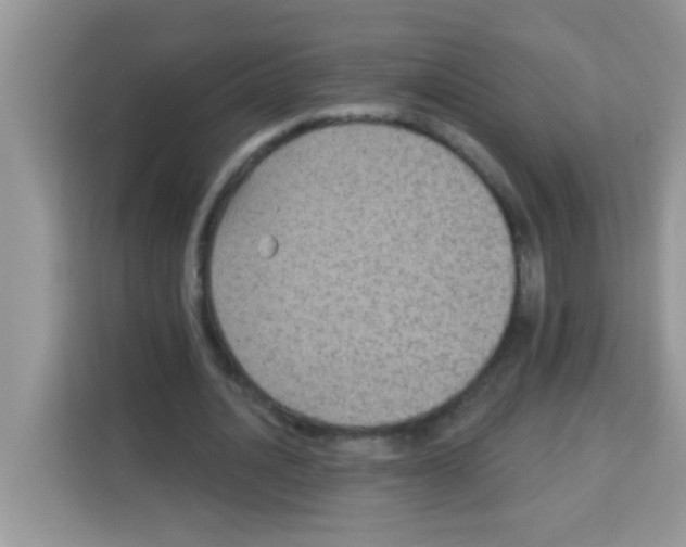 X0000113020628200910081200