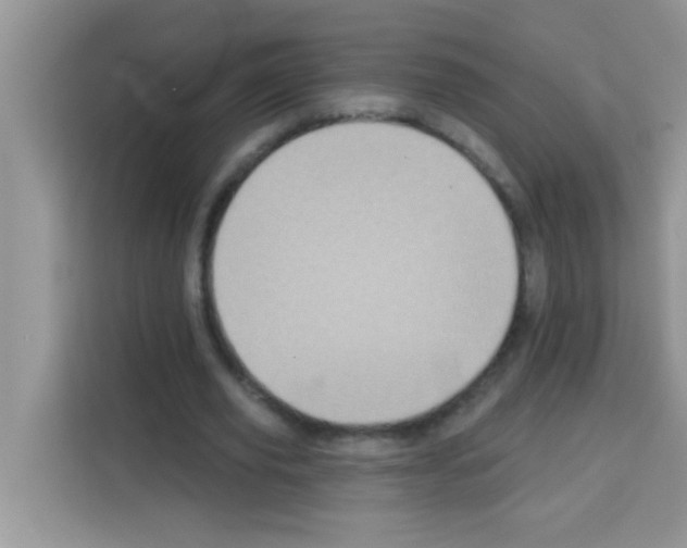 X0000113020629200910081200