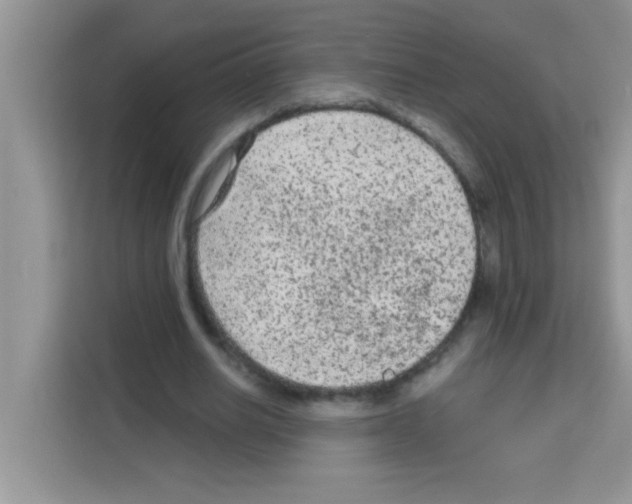 X0000113020630200910081200