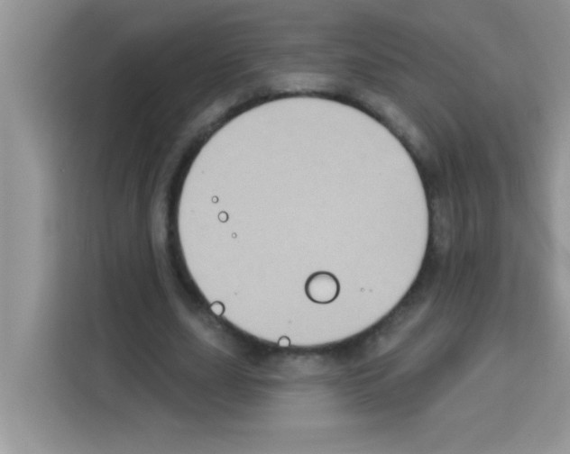 X0000113020631200910081200