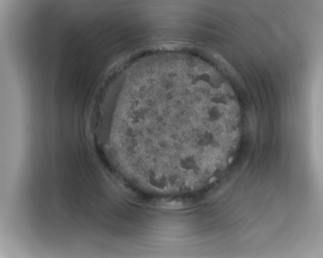 X0000113020640200910081200