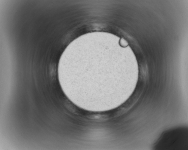 X0000113020657200910081201