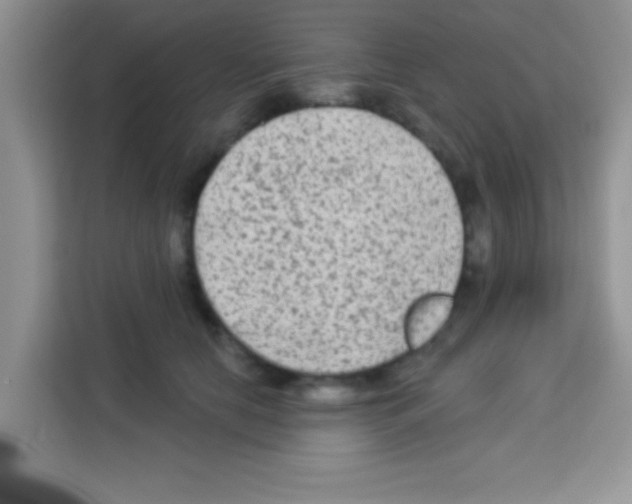 X0000113020658200910081201