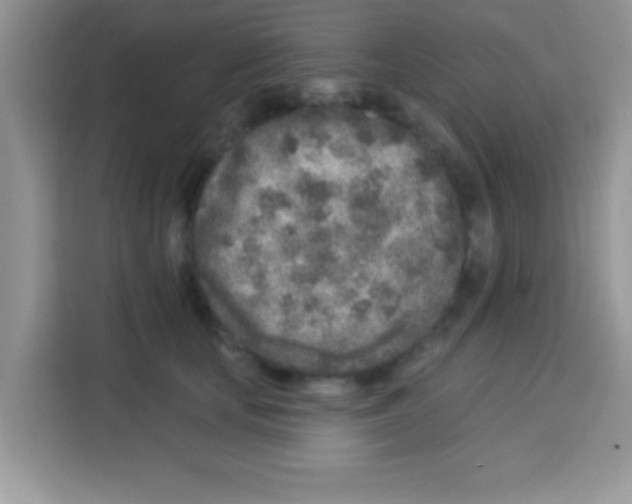 X0000113020659200910081201