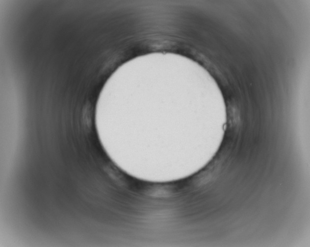 X0000113020664200910081201