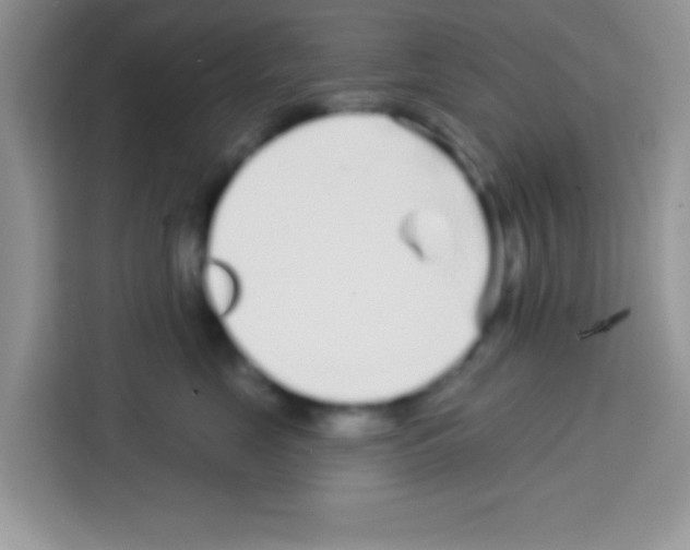 X0000113020669200910081201