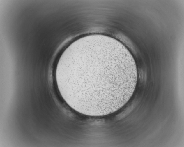 X0000113020676200910081200