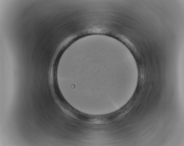 X0000113020678200910081200