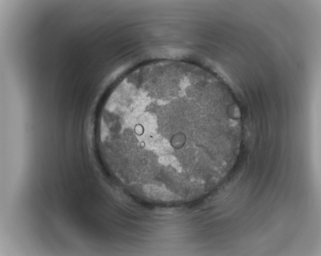 X0000113020679200910081200