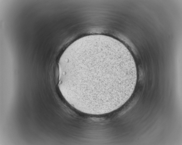 X0000113020681200910081200