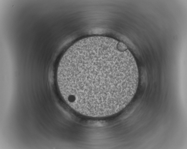 X0000113020683200910081200