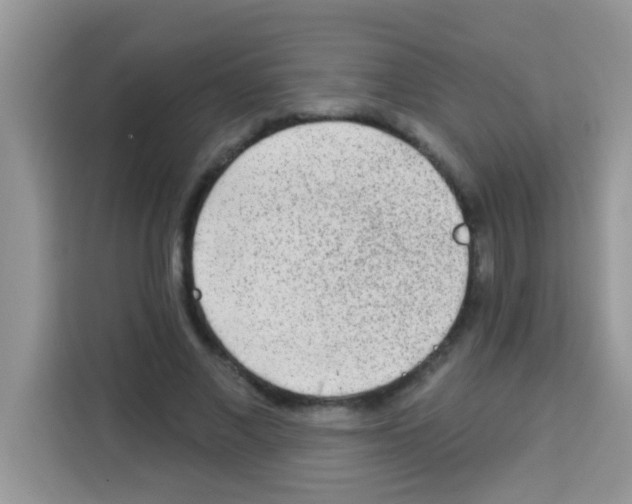 X0000113020685200910081200