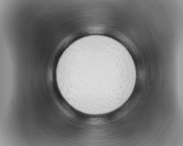 X0000113020686200910081200