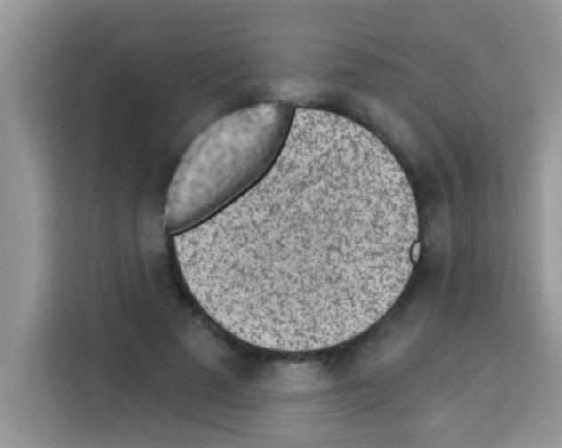 X0000113020689200910081200