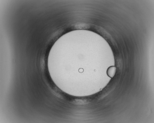 X0000113020690200910081200