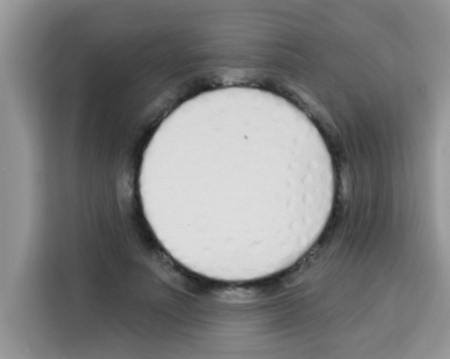 X0000113020691200910081200