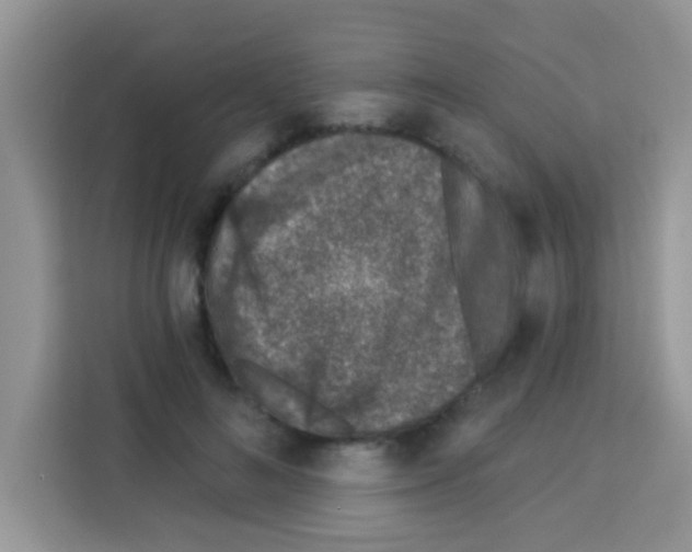 X0000113020692200910081200