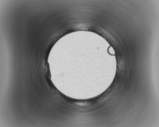 X0000113020693200910081200