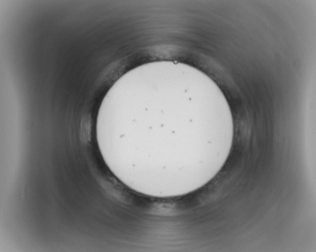 X0000113020694200910081200