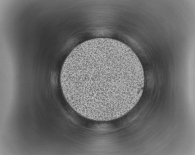 X0000113020695200910081200