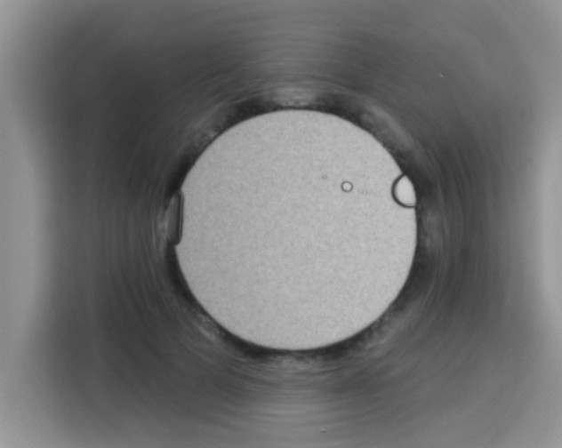 X0000113020697200910081200