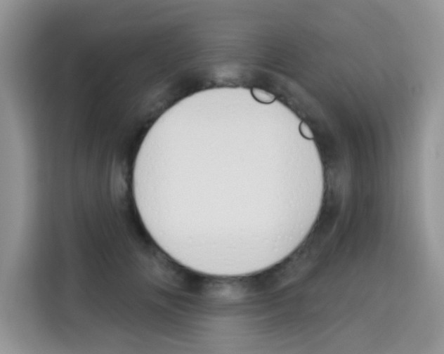 X0000113020702200910081200