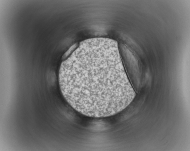 X0000113020704200910081200