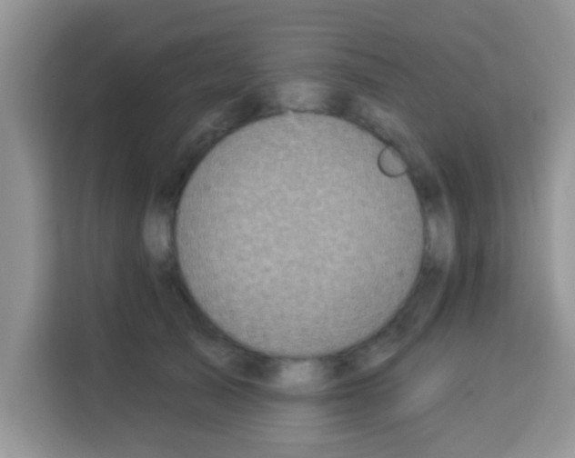 X0000113020705200910081200