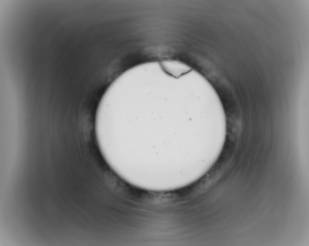 X0000113020707200910081200