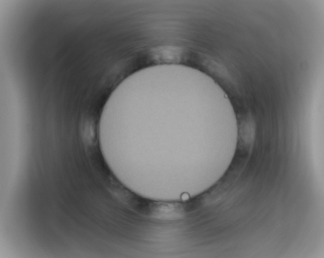 X0000113020709200910081200