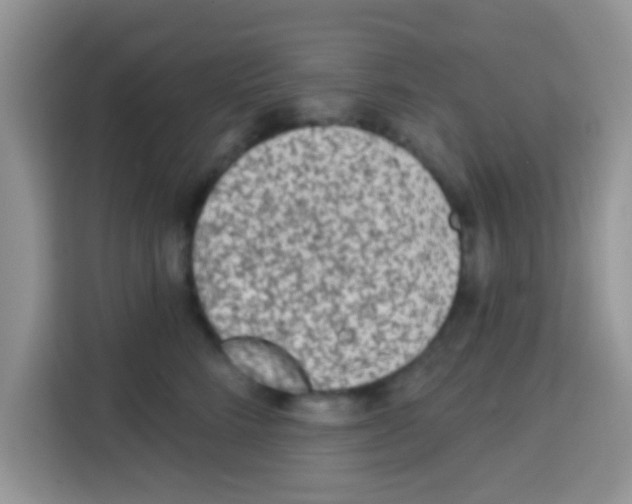 X0000113020712200910081200